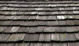 shingle